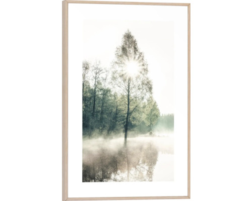 Gerahmtes Wandbild mit Waldmotiv, Baum im Nebel und Sonnenschein