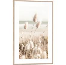 Gerahmtes Bild mit Darstellung von Hasenschwanzgras vor einer Küstenlandschaft