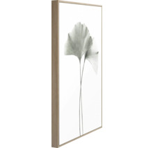 Image encadrée avec feuilles de ginkgo