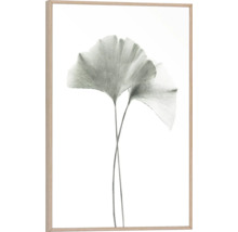 Image encadrée avec deux feuilles de ginkgo comme motif