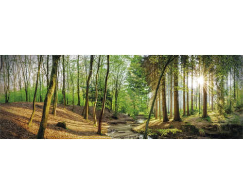 Waldlandschaft mit Bäumen und Bachlauf