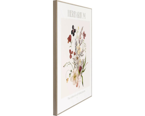 Gerahmtes Herbarium Pflanzenbild für die Wand