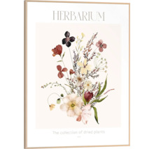Gerahmtes Herbarium-Poster mit Abbildung von getrockneten Blumen