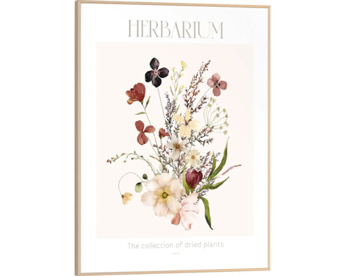Gerahmtes Herbarium-Poster mit Abbildung von getrockneten Blumen