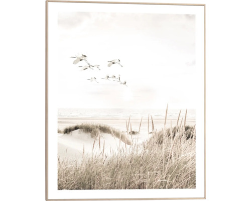 Gerahmtes Bild mit Kranichen, die über eine Küstenlandschaft fliegen