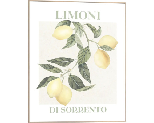 Gerahmtes Bild mit Zitronenmotiv und dem Schriftzug Limoni Di Sorrento