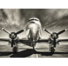 Frontansicht eines silberfarbenen Flugzeugs auf einer Landebahn