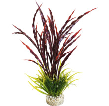 Dekorative Aquariumpflanze mit roten und grünen Elementen in einem Kiesbett