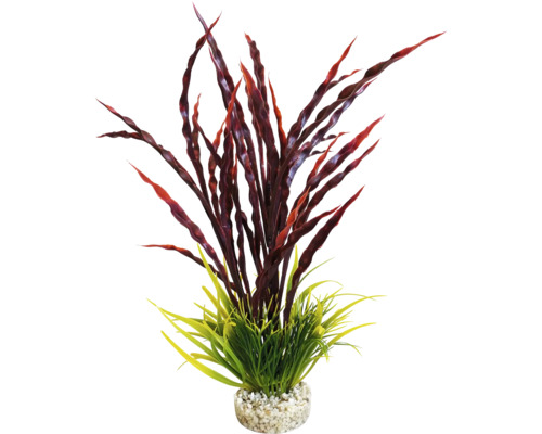 Dekorative Aquariumpflanze mit roten und grünen Elementen in einem Kiesbett