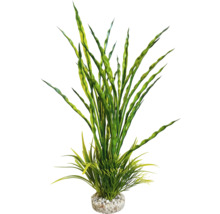 Dekorative Aquarium Pflanze mit grünen Blättern