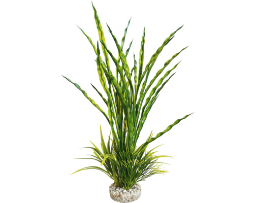 Dekorative Aquarium Pflanze mit grünen Blättern