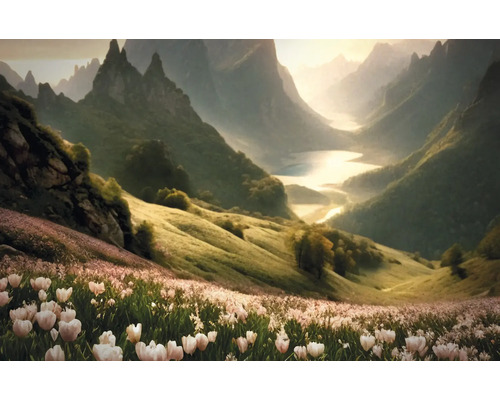 Landschaftsbild mit Tal, Blumenwiese und Bergen