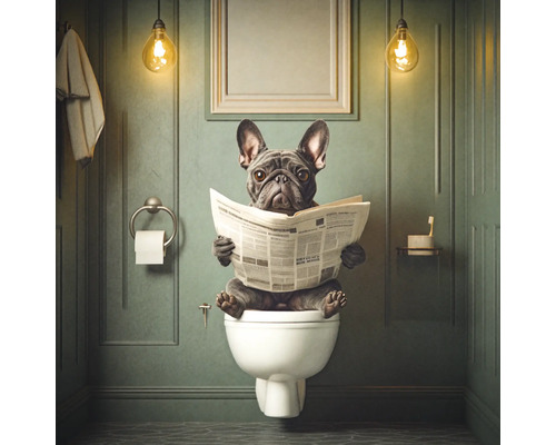 Leinwandbild Hund auf dem Klo 30x30 cm Badezimmer mit Toilette und Bulldogge, die eine Zeitung liest