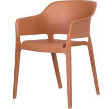 Chaise avec accoudoirs en plastique