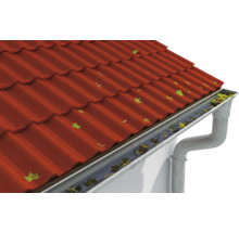 Gouttière sur le toit avec des feuilles