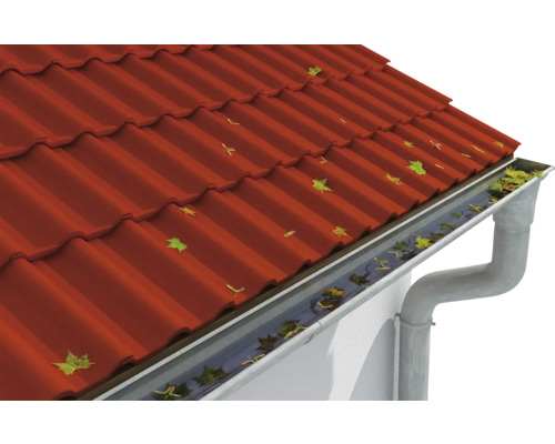 Gouttière sur le toit avec des feuilles