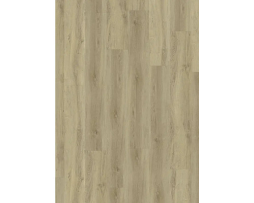 Lame vinyle Dryback 30 Appaloosa Medium à coller 230x1500x2 mm Sol vinyle aspect bois