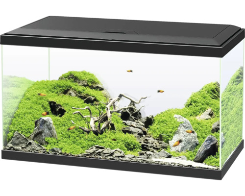 Aquarium Ciano Aqua inkl. Abdeckung, Beleuchtung, Filtersystem inklusive Umwälzpumpe, Heizstab, Futter und Wasseraufbereiter, schwarz 60 x 30 x 33,5 cm Eingerichtetes Aquarium mit Pflanzen, Steinen und Fischen