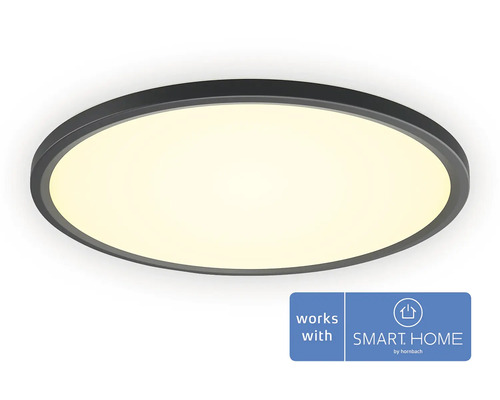 Plafonnier Philips hue 23W 2350 lm 2200-6500 K Hx Ø 3,6x42,1 cm Tento White Ambiance noir