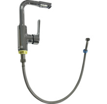 Robinet avec flexible de douche pour lavabo