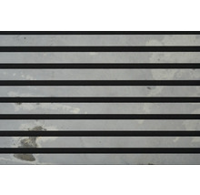 Structure de grille métallique pour la construction ou la décoration