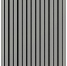 Panneaux muraux décoratifs avec lamelles verticales