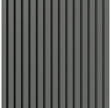 Revêtement mural décoratif avec lamelles verticales