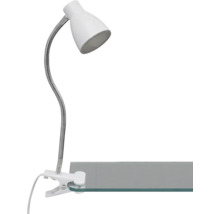 Lampe à pince avec bras flexible et clip de fixation