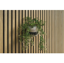Mur décoratif avec panneaux en bois et plante en pot