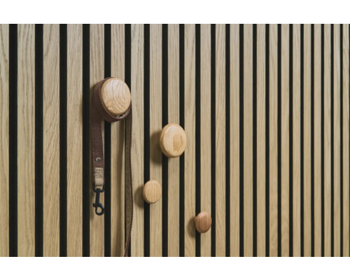 Mur en bois avec patères rondes et laisse pour chien