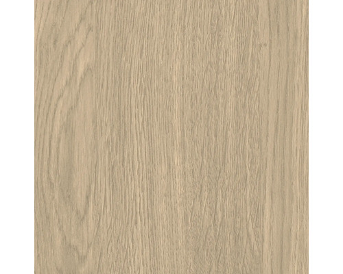 Texture du bois d''un panneau de chêne clair
