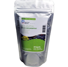 Aquarium Münster Aquavital Bacto Groundboost activateur de sol, 30 capsules