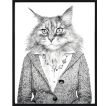 Image encadrée d''un chat en vêtements