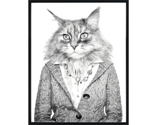 Image encadrée d''un chat en vêtements