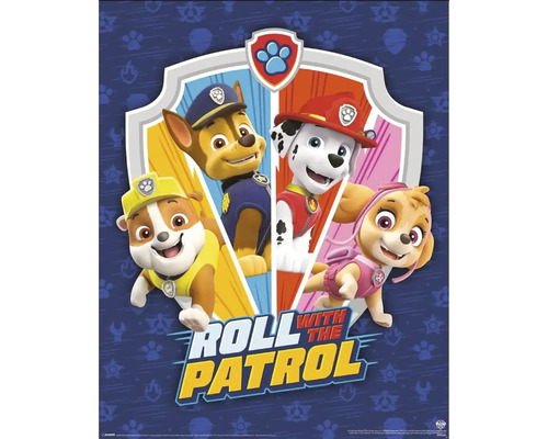 Panneau décoratif Pat’ Patrouille 40x50 cm Paw Patrol Roll with the Patrol Affiche