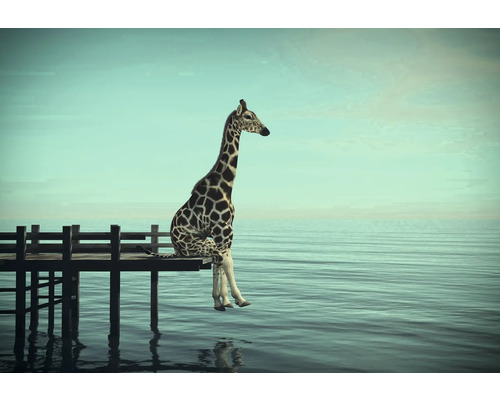 Leinwandbild einsame Giraffe am Wasser 116x80 cm Giraffe sitzt auf einem Holzsteg am Meer