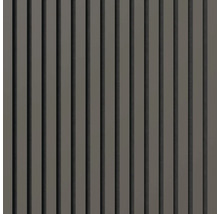 Panneau mural à lamelles verticales