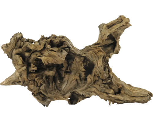 Holzwurzel zur Dekoration von Aquarien