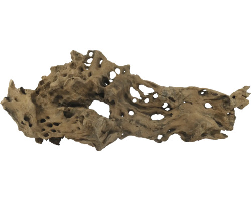 Aquarium Wurzelholz Dekoration mit Löchern