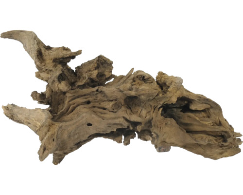 Décoration pour aquarium ORBIT racine Ubatuba X-Jumbo 6-8 kg 50 - 80 cm Bois de racine pour aquariums et terrariums