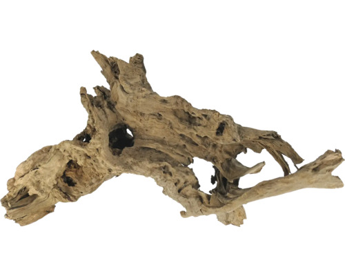 Holzwurzel zur Dekoration von Aquarien