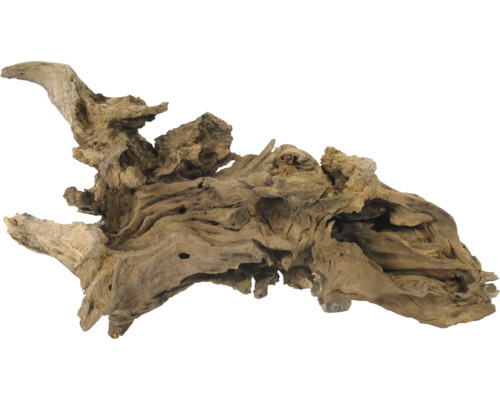 Wurzelholz zur Dekoration von Aquarien
