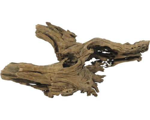 Wurzelholz für Aquarien