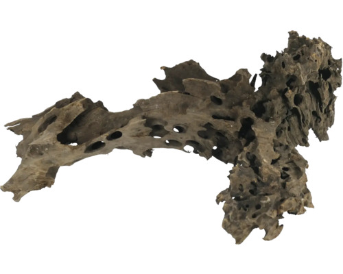 Verzweigtes Mangrovenholz für Aquarien