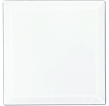 Quadratische Glasfliese