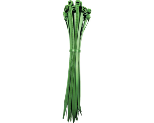 Collier de serrage vert feuillage 200x4,6mm 50 pièces Lot de serre-câbles verts