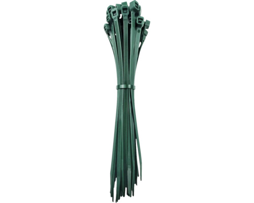 Collier de serrage UV vert mousse 150x3,6 mm 50 pièces Lot de serre-câbles verts