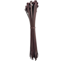Lot de colliers de serrage en plastique
