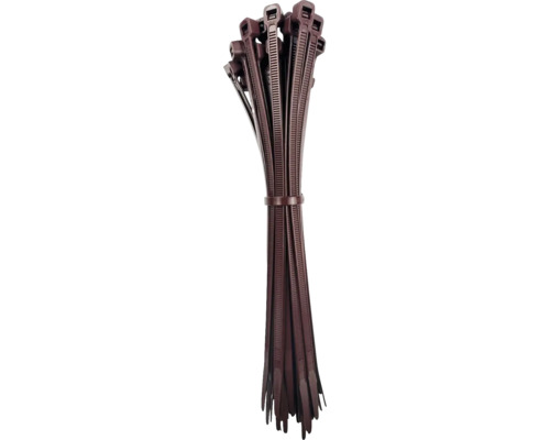 Lot de colliers de serrage en plastique