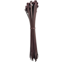 Lot de colliers de serrage marron